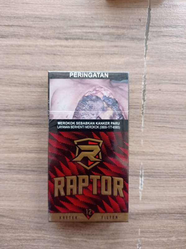 Rokok raptor 12