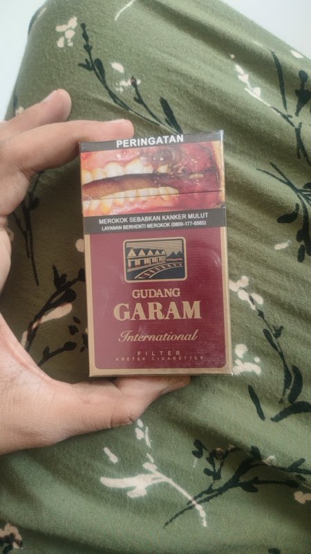 Rokok Gudang Garam Internasional