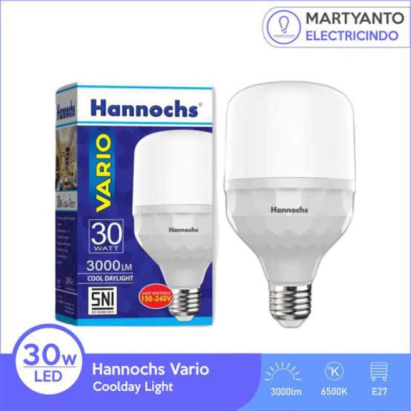 lampu hannochs 30 w